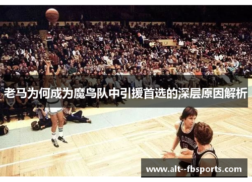 老马为何成为魔鸟队中引援首选的深层原因解析